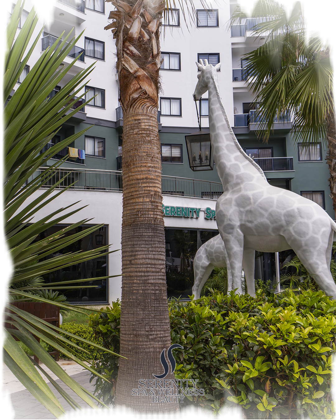 SERENITY SPA & WELLNESS BEAUTY